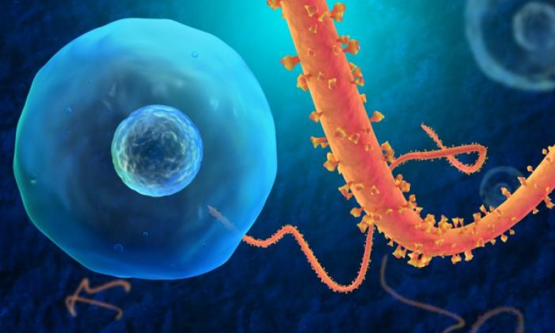 Ebola