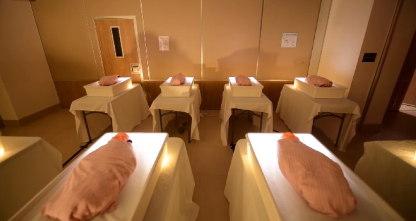 中神「美丽新世界」艺展 现实X乌托邦的错体身分 