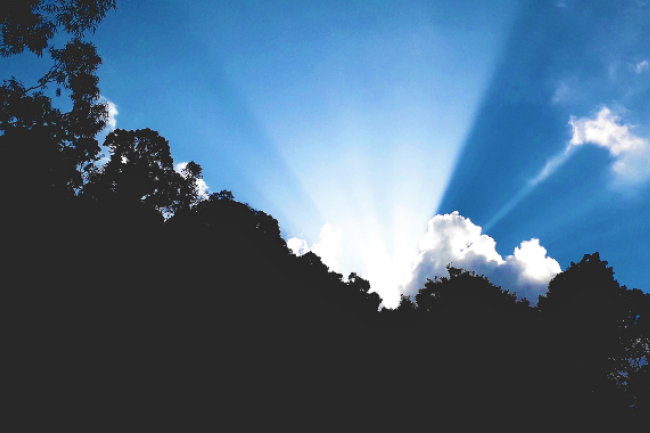 現代《失樂園》 教授出書斥荒誕社會源於魔鬼