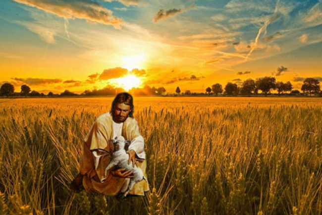 「傳道初哥」理想與現實落差 謝文郁授談克服之道