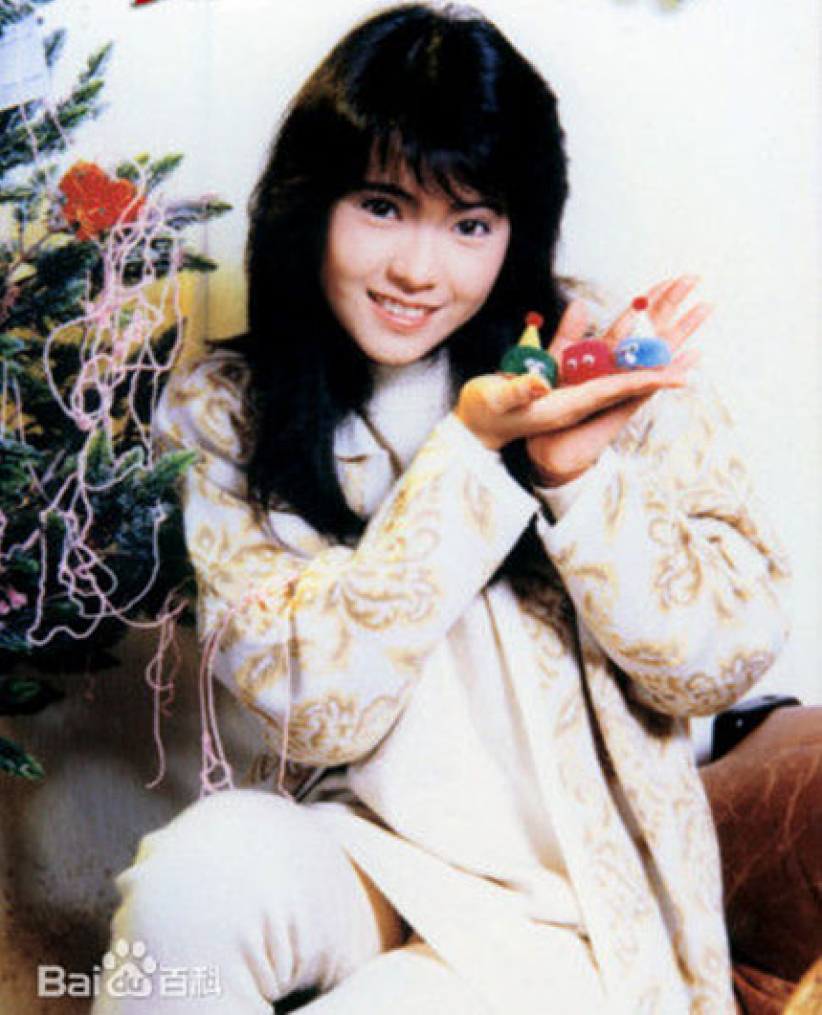 传蓝洁瑛返教会信主 期待基督里获新生