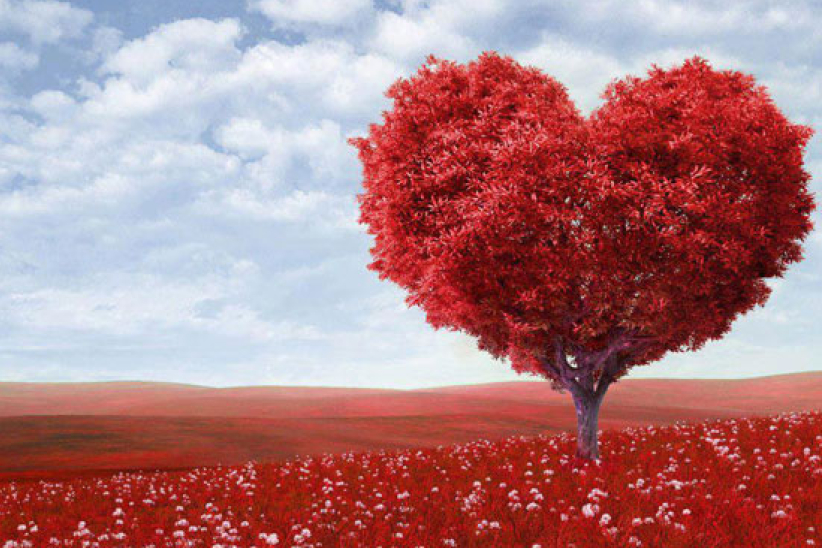 怎知时机成熟 可以谈婚论嫁呢﹖