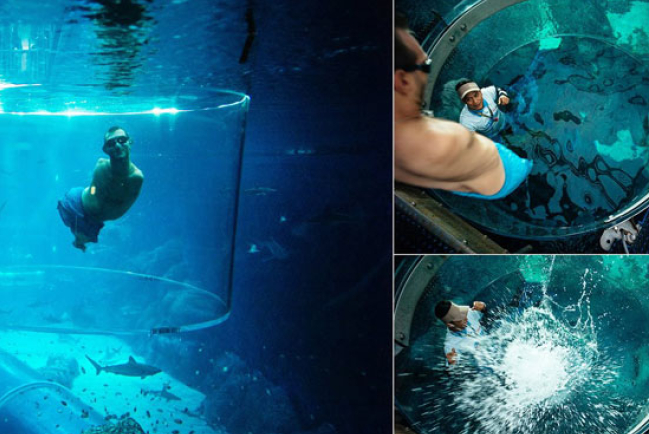 力克胡哲與鯊共舞 愛嘗試新事物