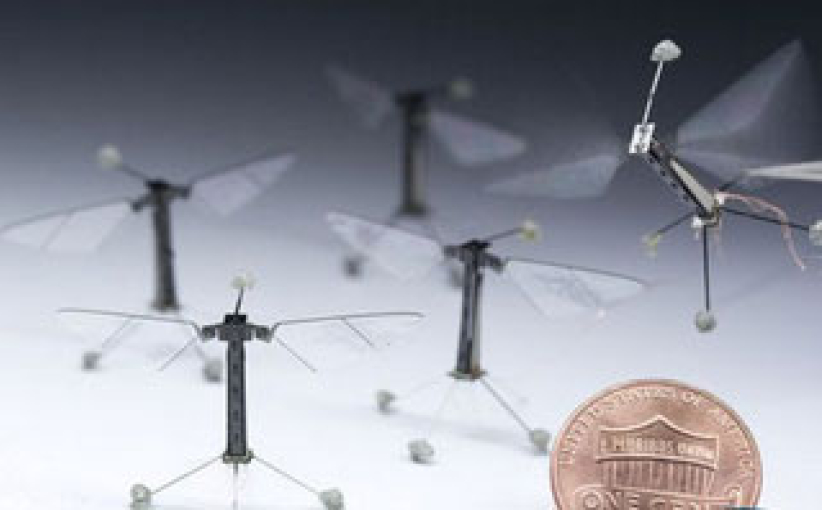 昆蟲機器人在哈佛孵化起飛 是福還是禍？  