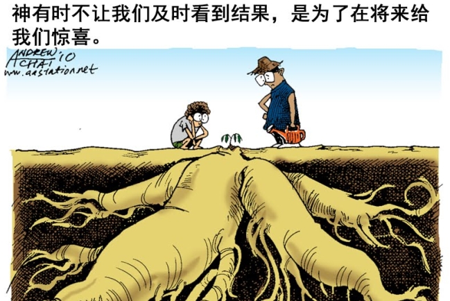 用信心生活（下）：神怎樣應許，就怎樣相信