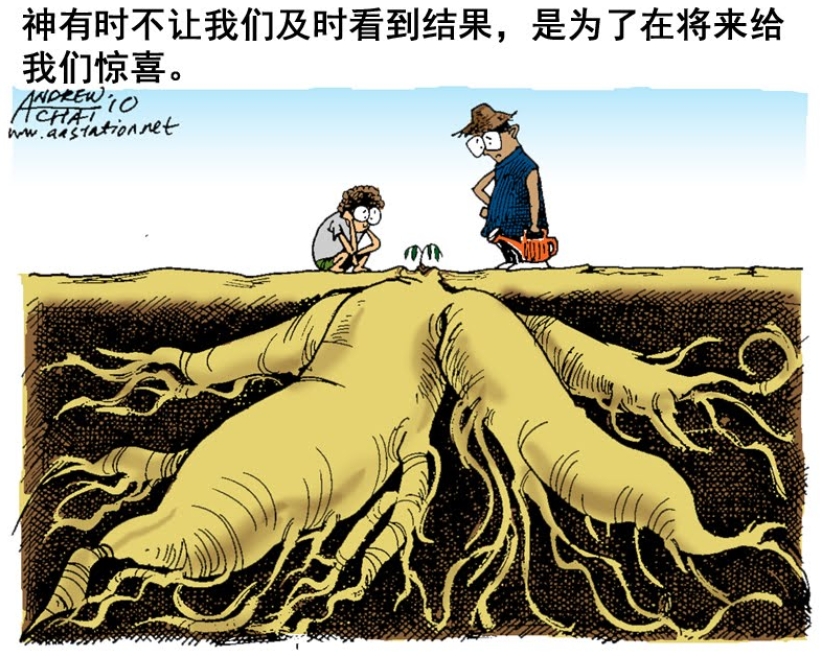 用信心生活（下）：神怎樣應許，就怎樣相信