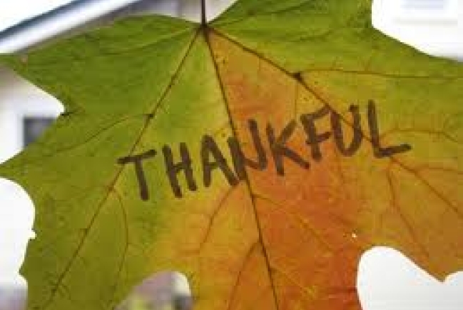 為神的呼召而感恩