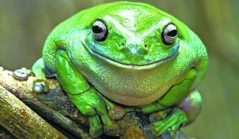 【和諧之歌】生活瑣記六則