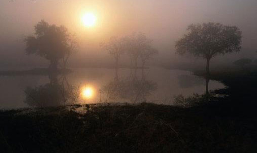 《荒漠甘泉》6月4日