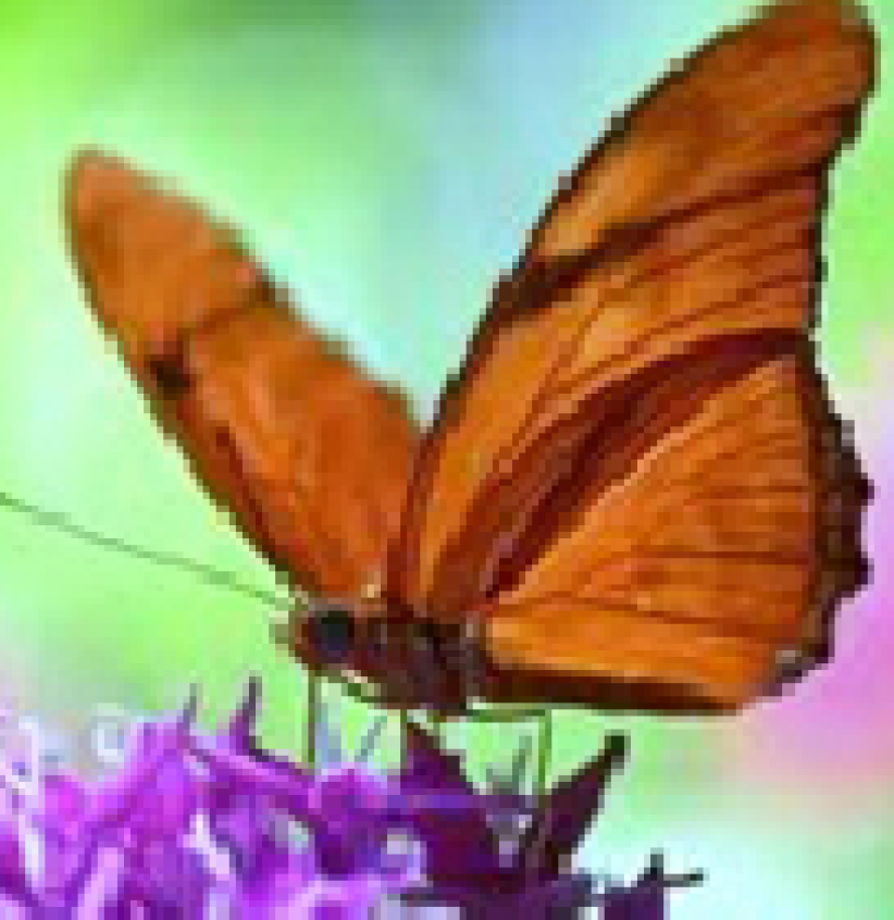 為目標奮鬥——做個揮著翅膀的您