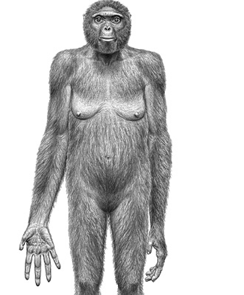 最早「人類祖先」出爐 科學家持觀望態度