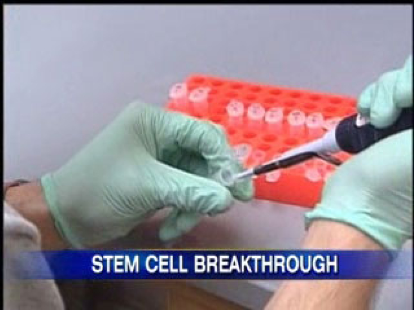 幹細胞研究新突破 有望解決道德爭議