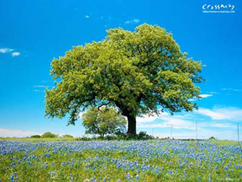 《市井圣徒》：「你不尊重我！」