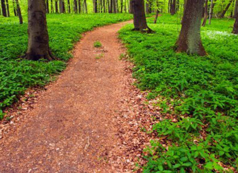 靈命的陶造：三月二十四日