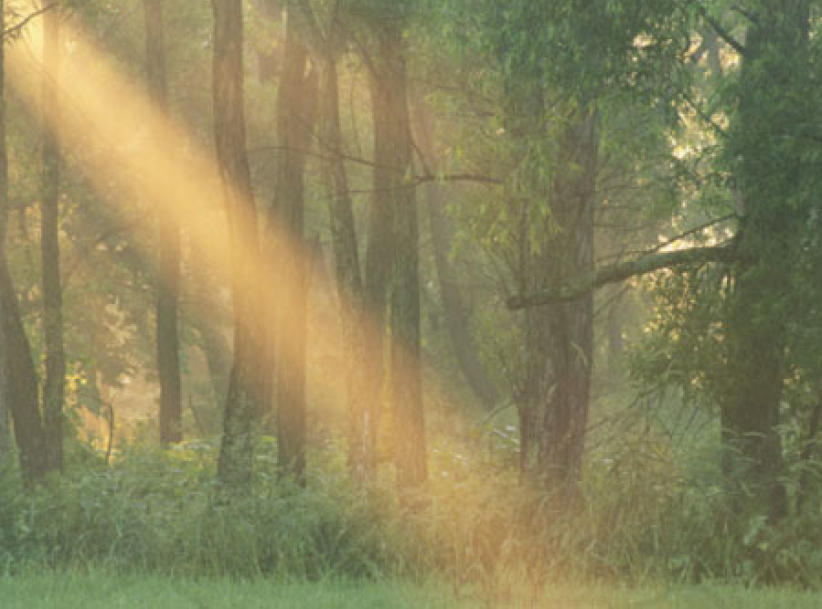 靈命的陶造：三月二十日