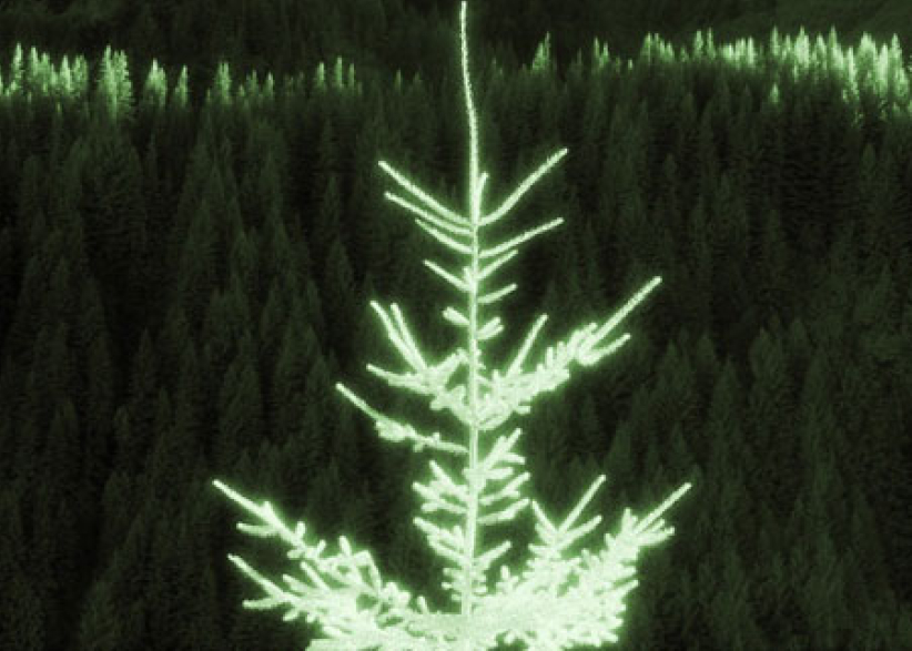 灵命的陶造：三月十七日