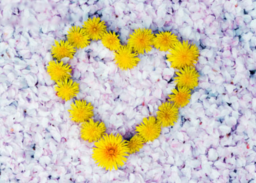 灵命的陶造：三月十四日