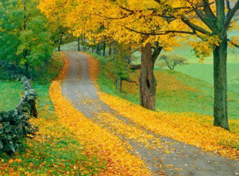 靈命的陶造：三月十一日