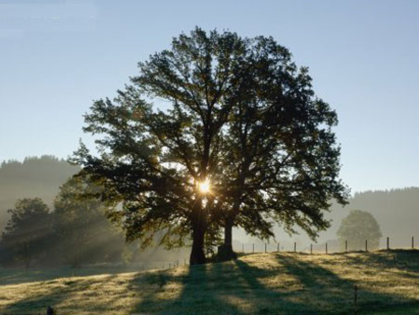 靈命的陶造：三月十日