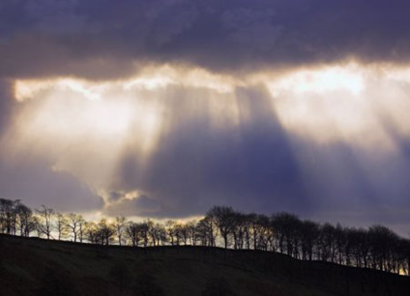 靈命的陶造：三月六日