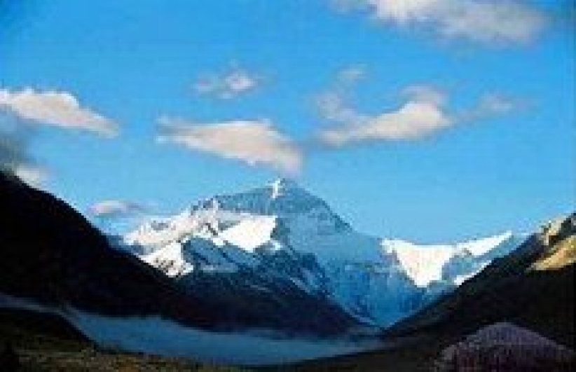 地球繼續升溫 教會與科學家攜手抗暖