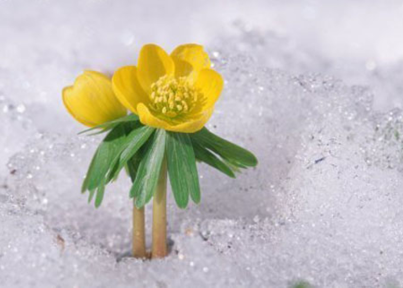 《市井聖徒》：突破困局