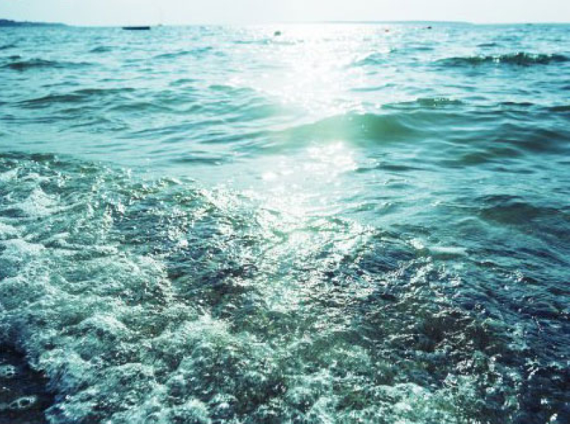 《市井聖徒》：市井之光