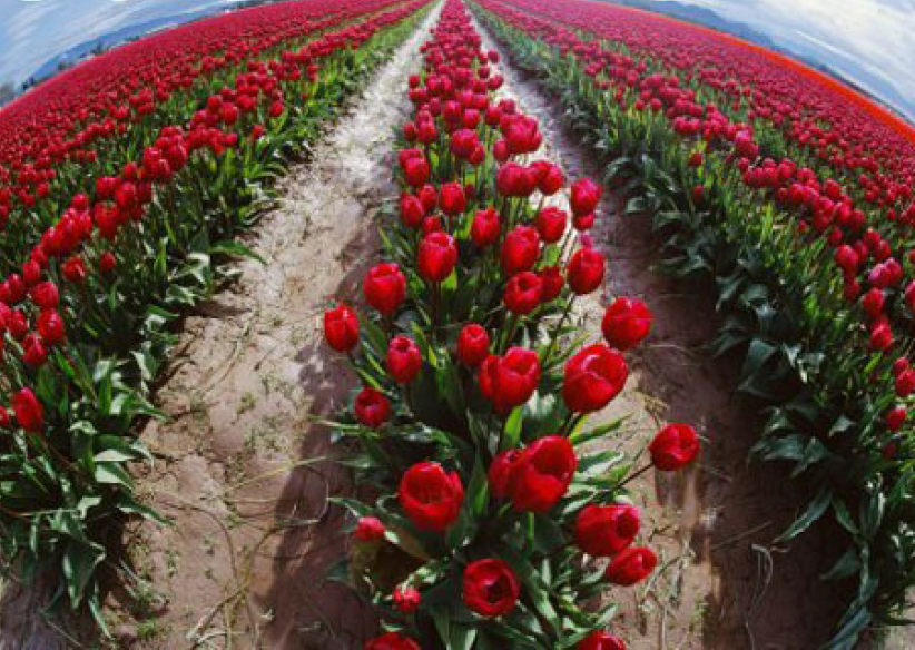 《市井聖徒》：偉大的靈