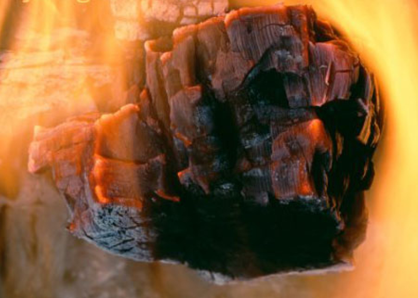 《市井聖徒》：痛而不苦