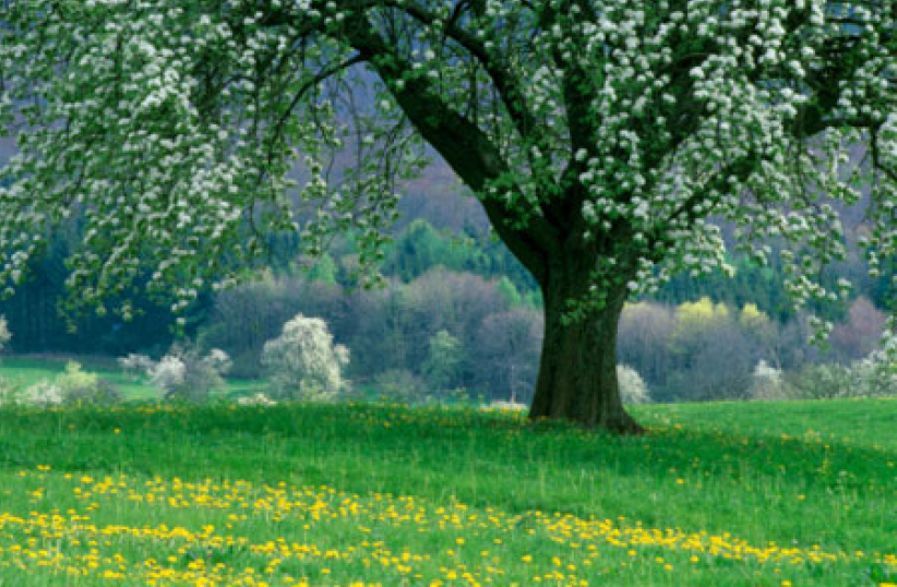 《市井聖徒》：生命卻步時