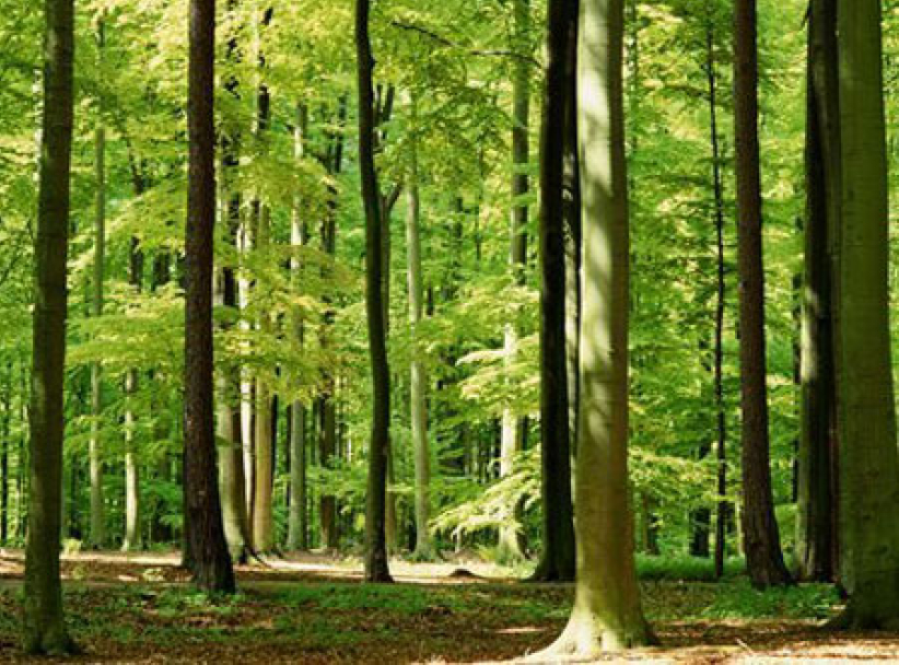 《市井圣徒》：他人身上的神迹