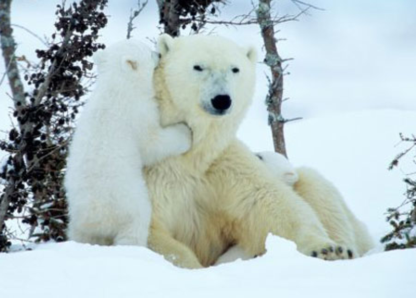 每日經歷神：負責任