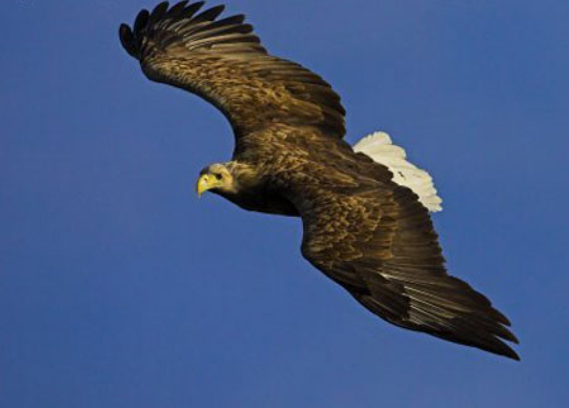 每日經歷神:新的力量