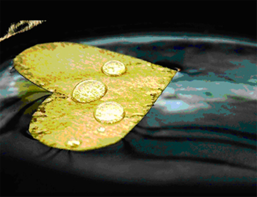 每日經歷神:預備敬拜