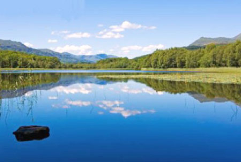 每日經歷神：灰 心