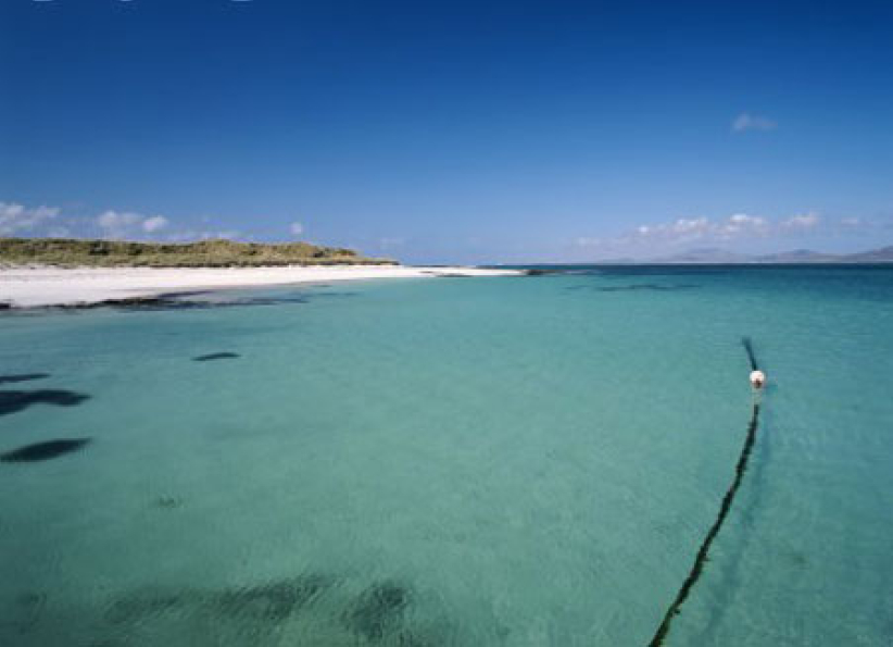 每日经历神：凡物都洁净