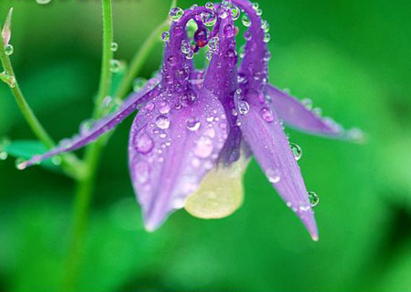 每日經歷神：稱惡為善，稱善為惡