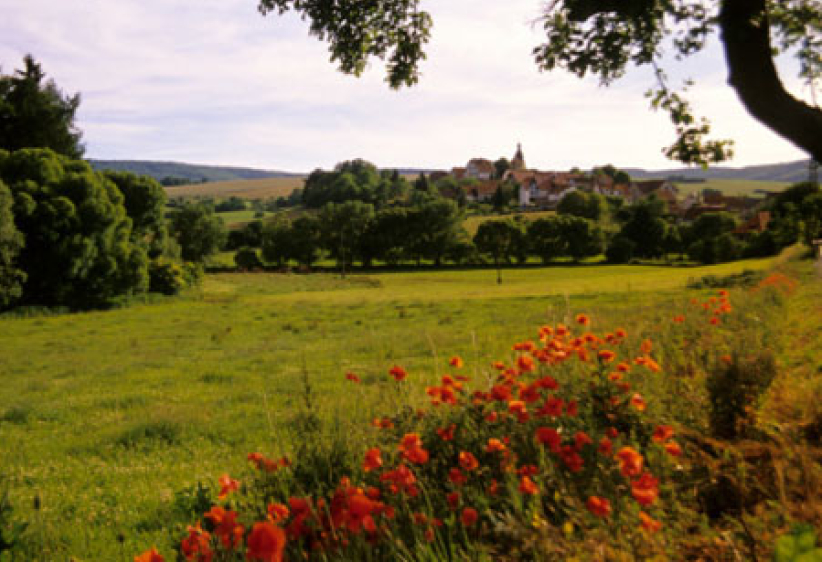 每日經歷神：不要迷失在人群中