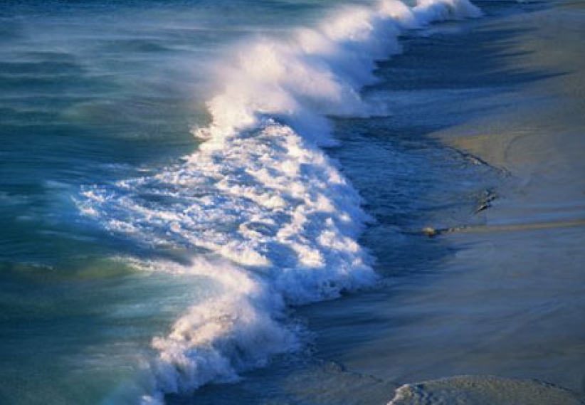 每日经历神：打开门与反对势力