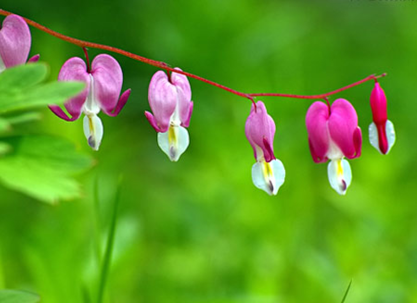 每日經歷神：自我謙卑