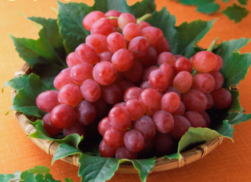 每日經歷神：豐盛的生命