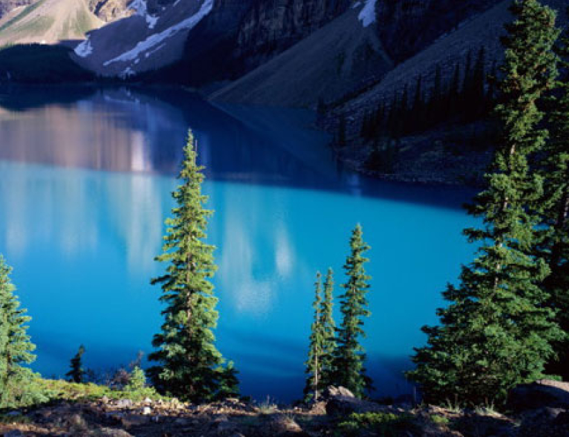 每日经历神：温柔的人