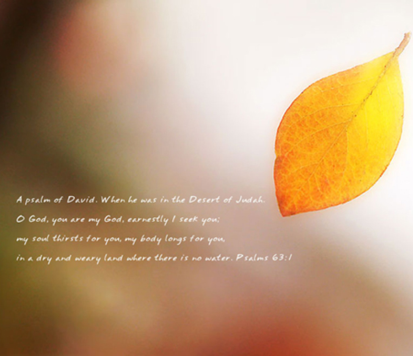 每日经历神：忌邪的神