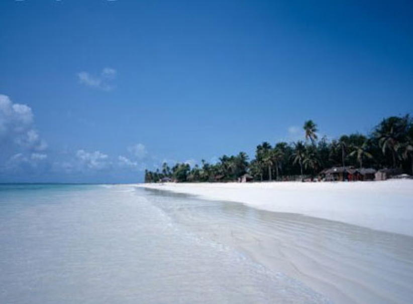 每日經歷神：藉著你的生命顯示神