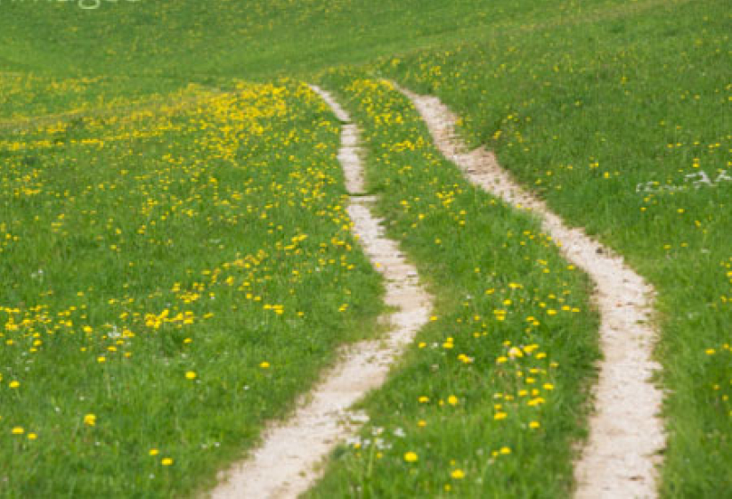 每日經歷神：挪亞與神同行