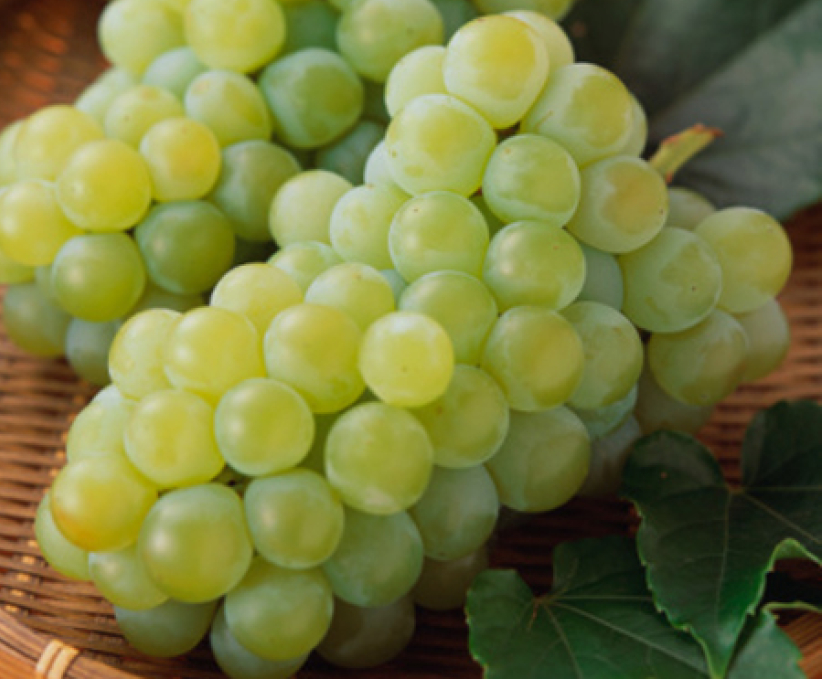 每日經歷神：聖靈的果子