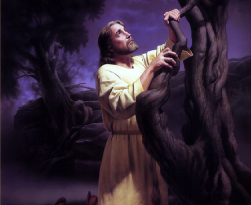 每日經歷神：傷痛的禱告