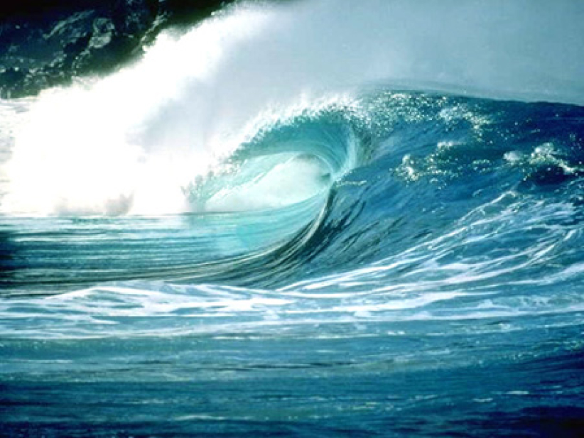 每日經歷神：神完全的保護