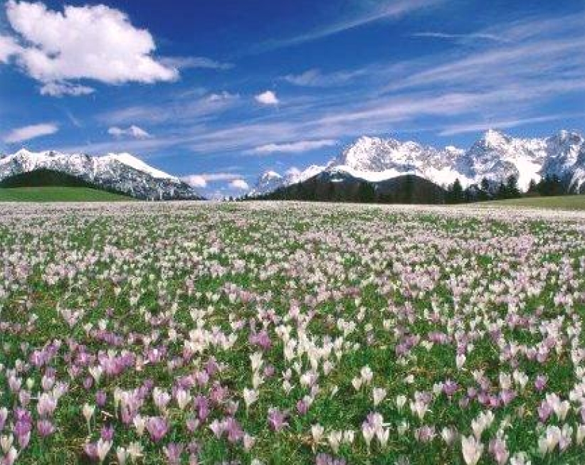 每日經歷神：沒人能禁止你