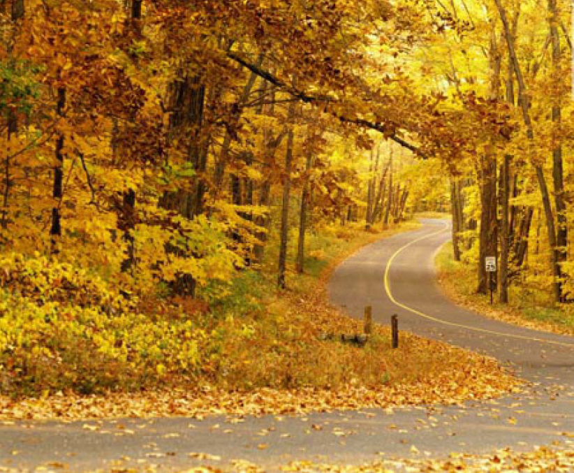 每日经历神：抉 择